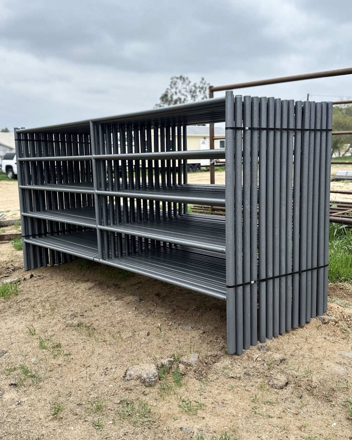 Premium 10x5 Horse Corral Panel (5 Rail) 1-5/8" 14 Gauge Steel