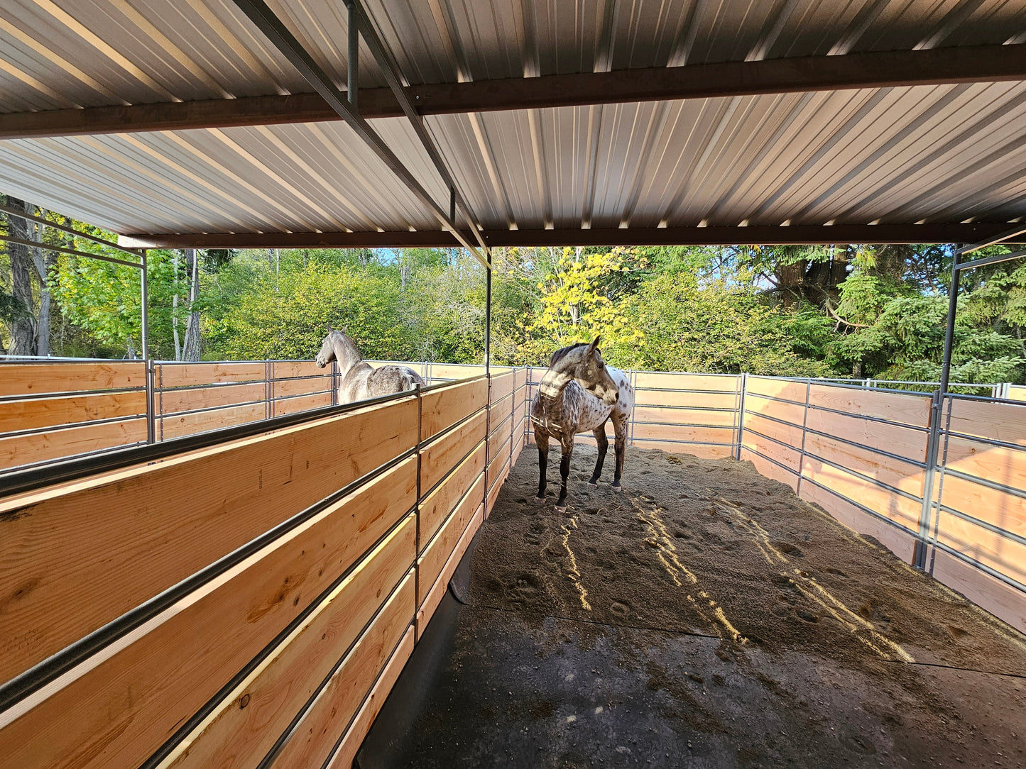 Mare Motel with 12x24 Stalls |  PBR SIDING + WOOD PANEL CLAMPS | 5-RAIL